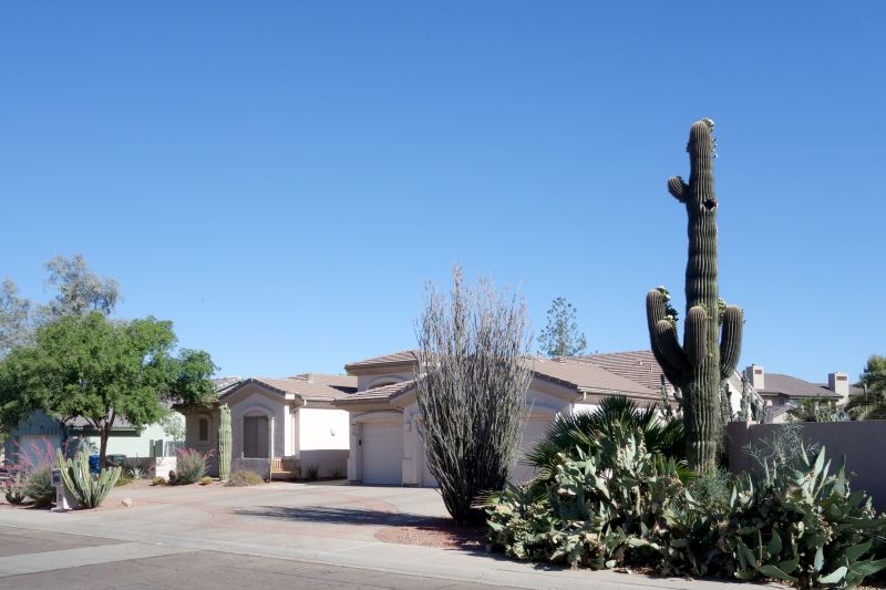 Cactus Removal