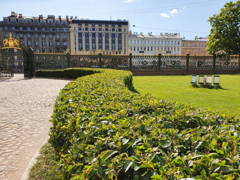 How To Tell When Your Shrubs Need Professional Care