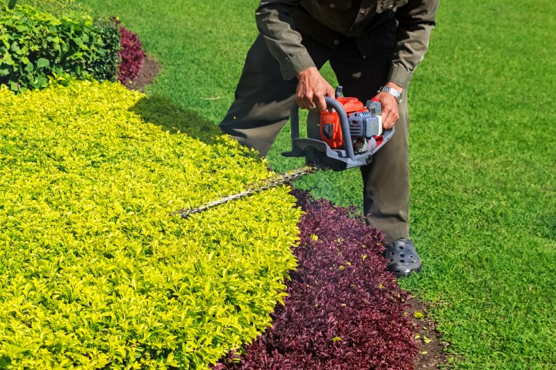 Landscaper Working on Shrubs