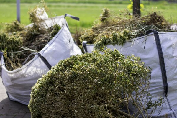 Shrub Removal Service - Shrub Removal Service Torrance, California